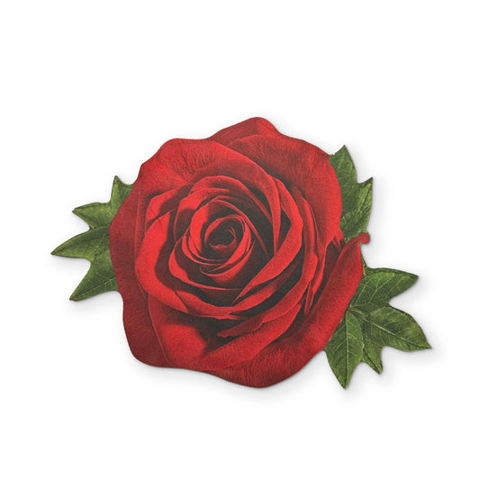 Rose Microfiber Glasses Cleaner Cloth