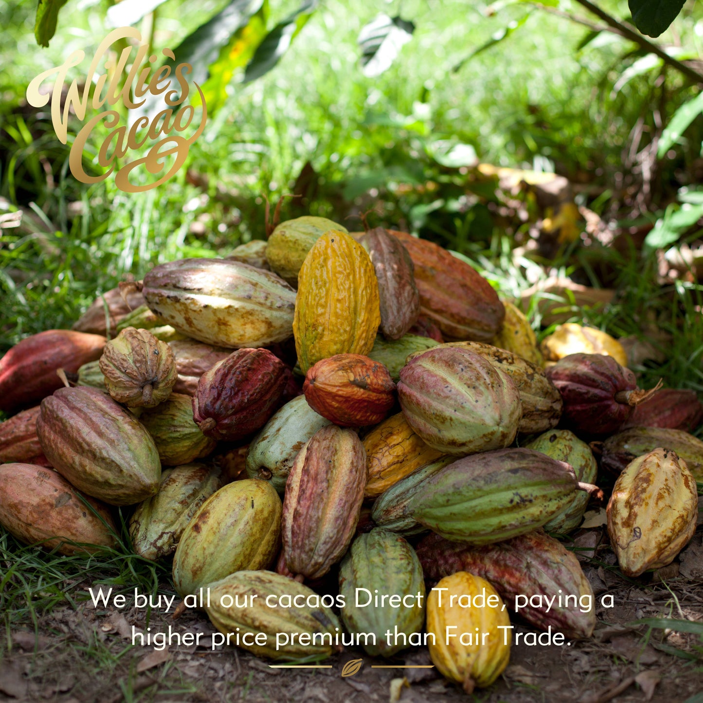 Milk of the Gods. Rio Caribe 44% rich milk chocolate bar