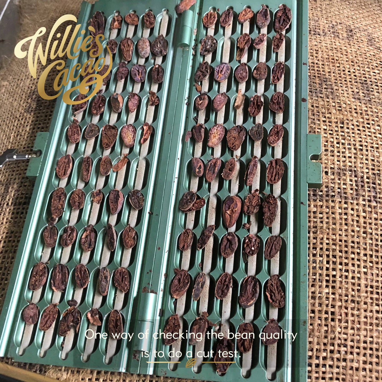 Orange & Almond 100% Cacao bar. No Added Sugar. Vegan