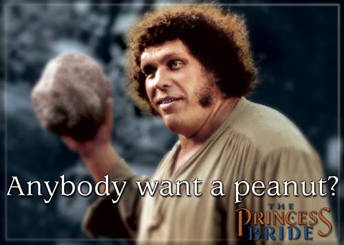 Princess Bride Anybody Want A Peanut? Magnet