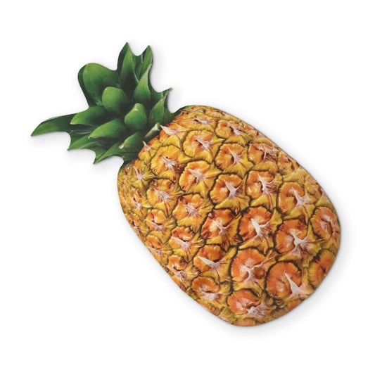 Pineapple Microfiber Glasses Cleaner Cloth