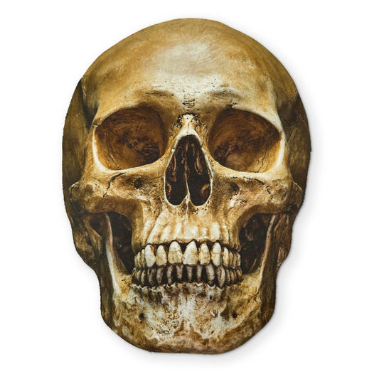 Human Skull Microfiber Glasses Cleaner Cloth