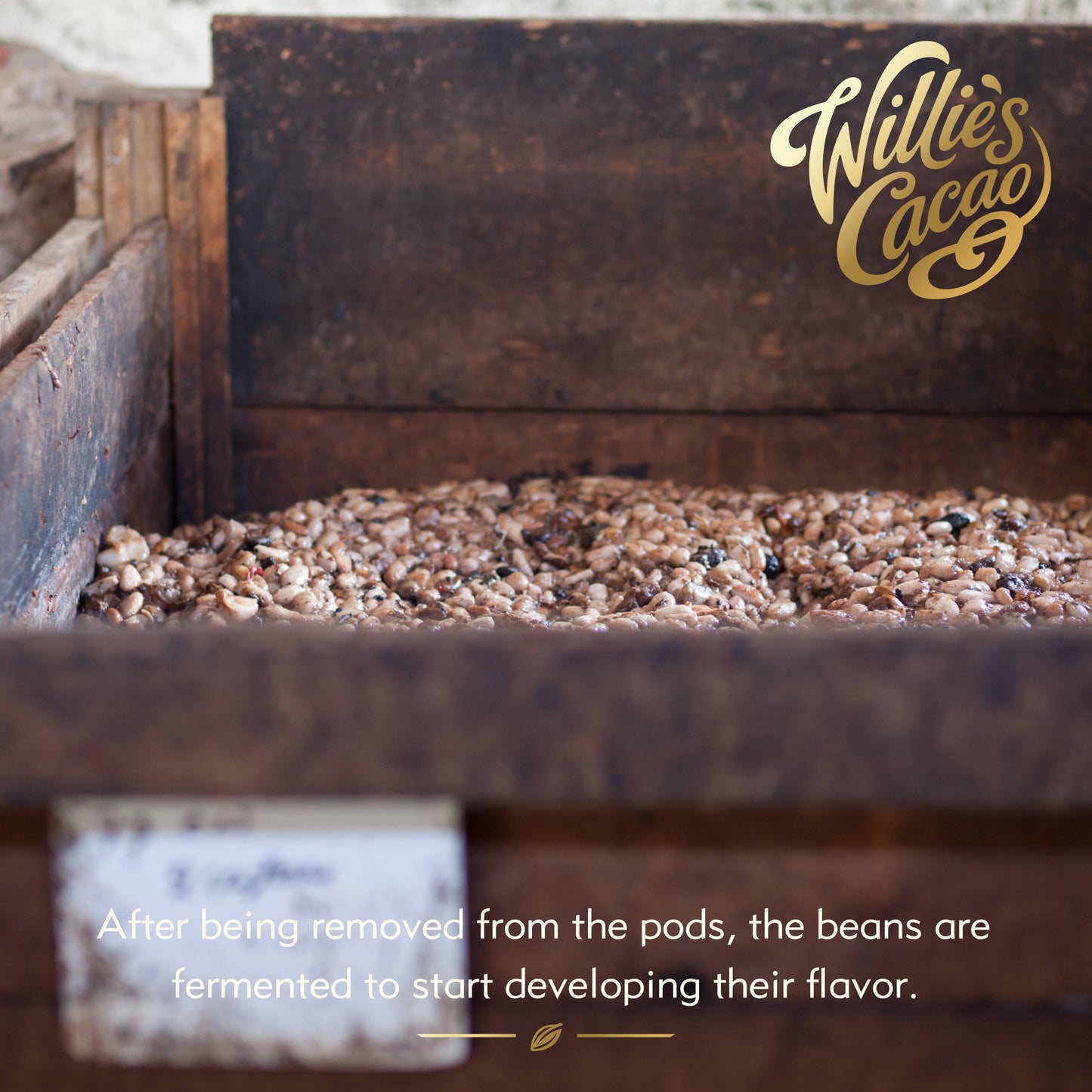 El Blanco. Creamy White Chocolate bar, 34% cocoa