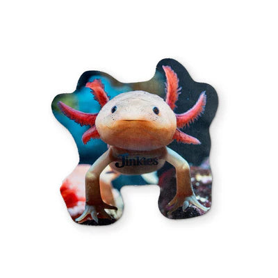Axolotl Microfiber Glasses Cleaner Cloth