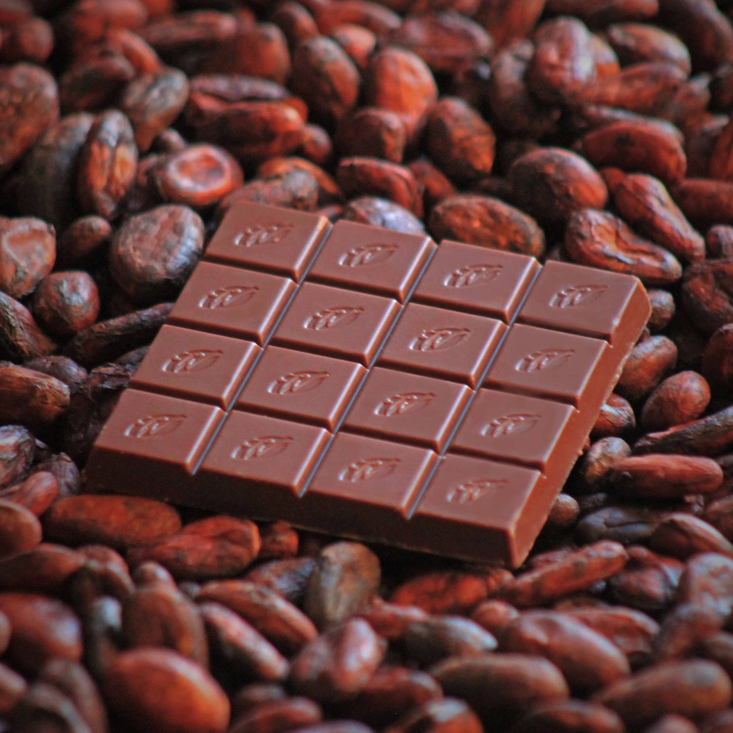 Milk of the Gods. Rio Caribe 44% milk chocolate. 50g bar