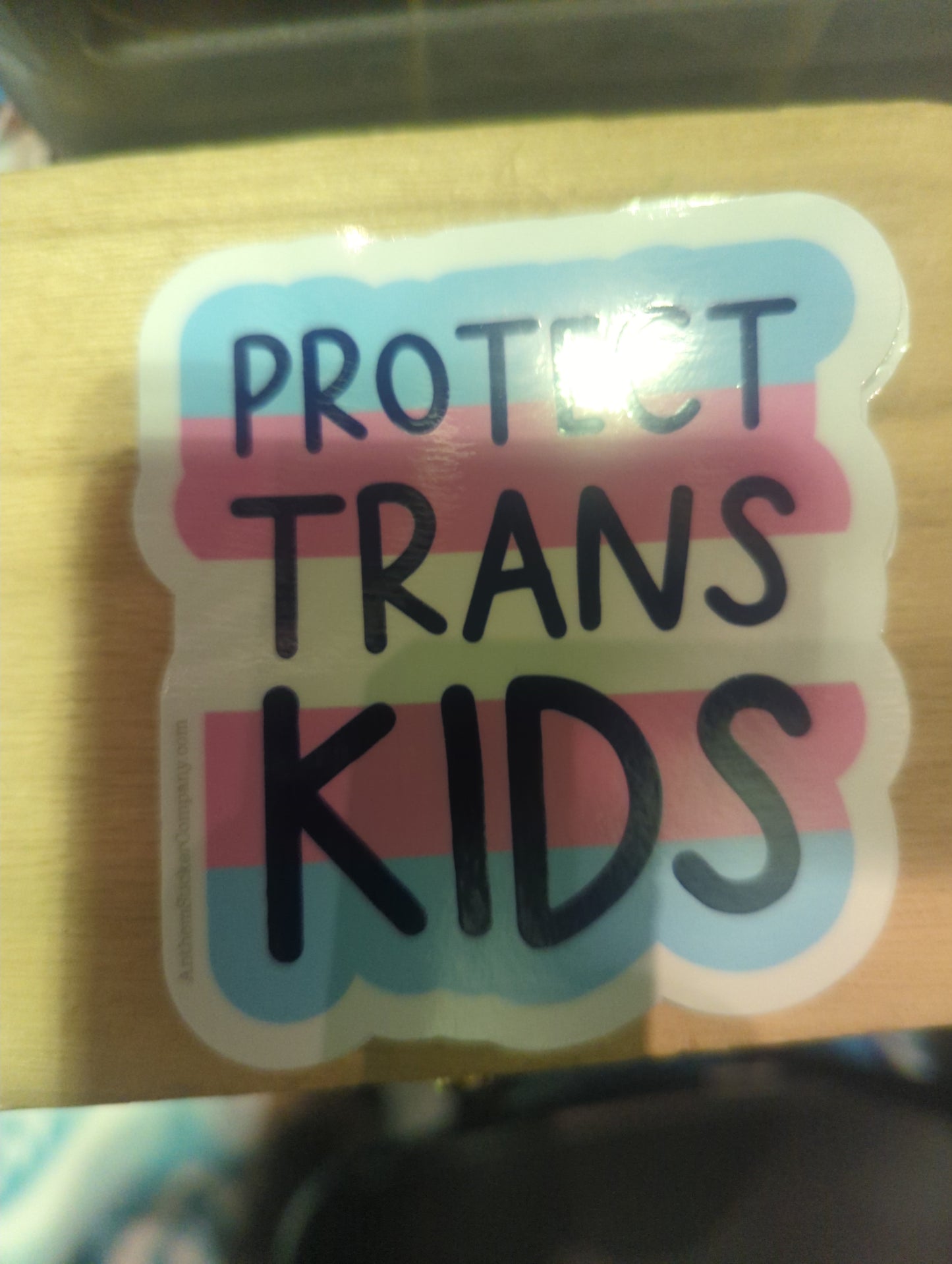 Protect Trans Kids vinyl sticker