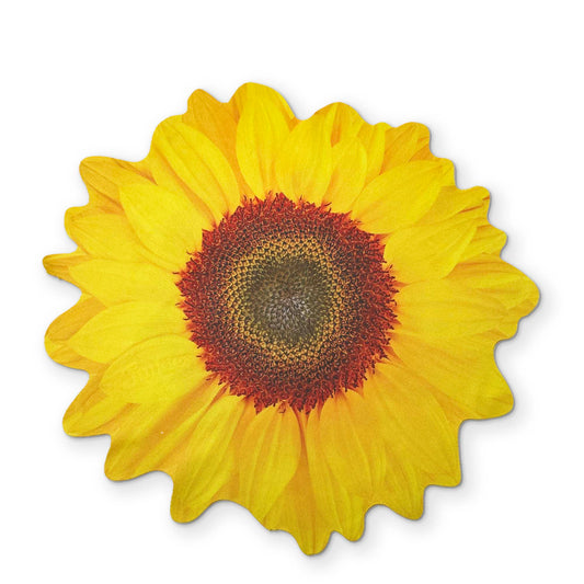 Sunflower Microfiber Glasses Cleaner Cloth