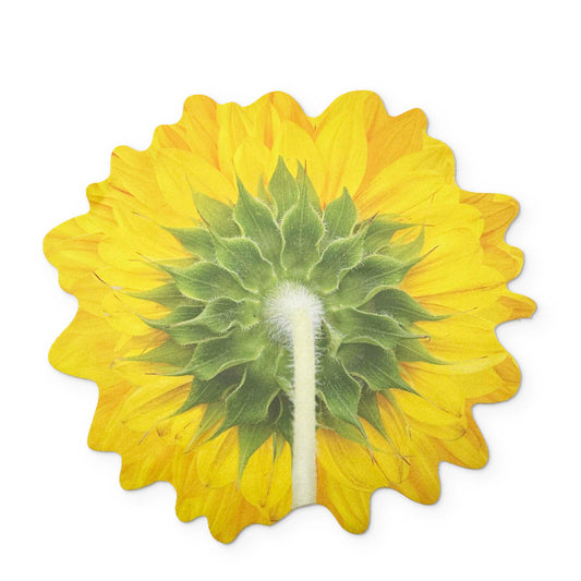 Sunflower Microfiber Glasses Cleaner Cloth