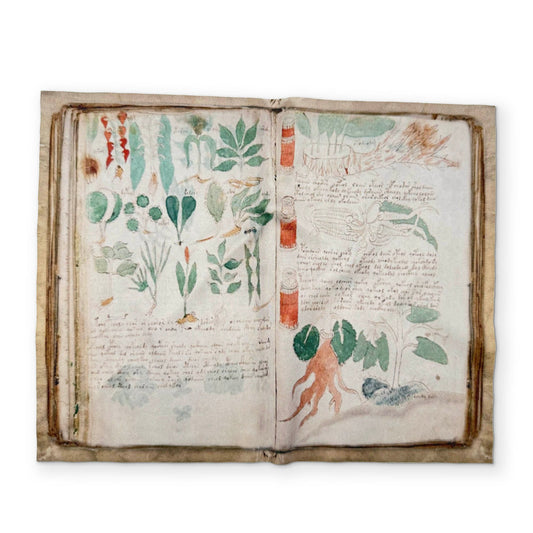 Voynich Manuscript Microfiber Glasses Cleaner Cloth