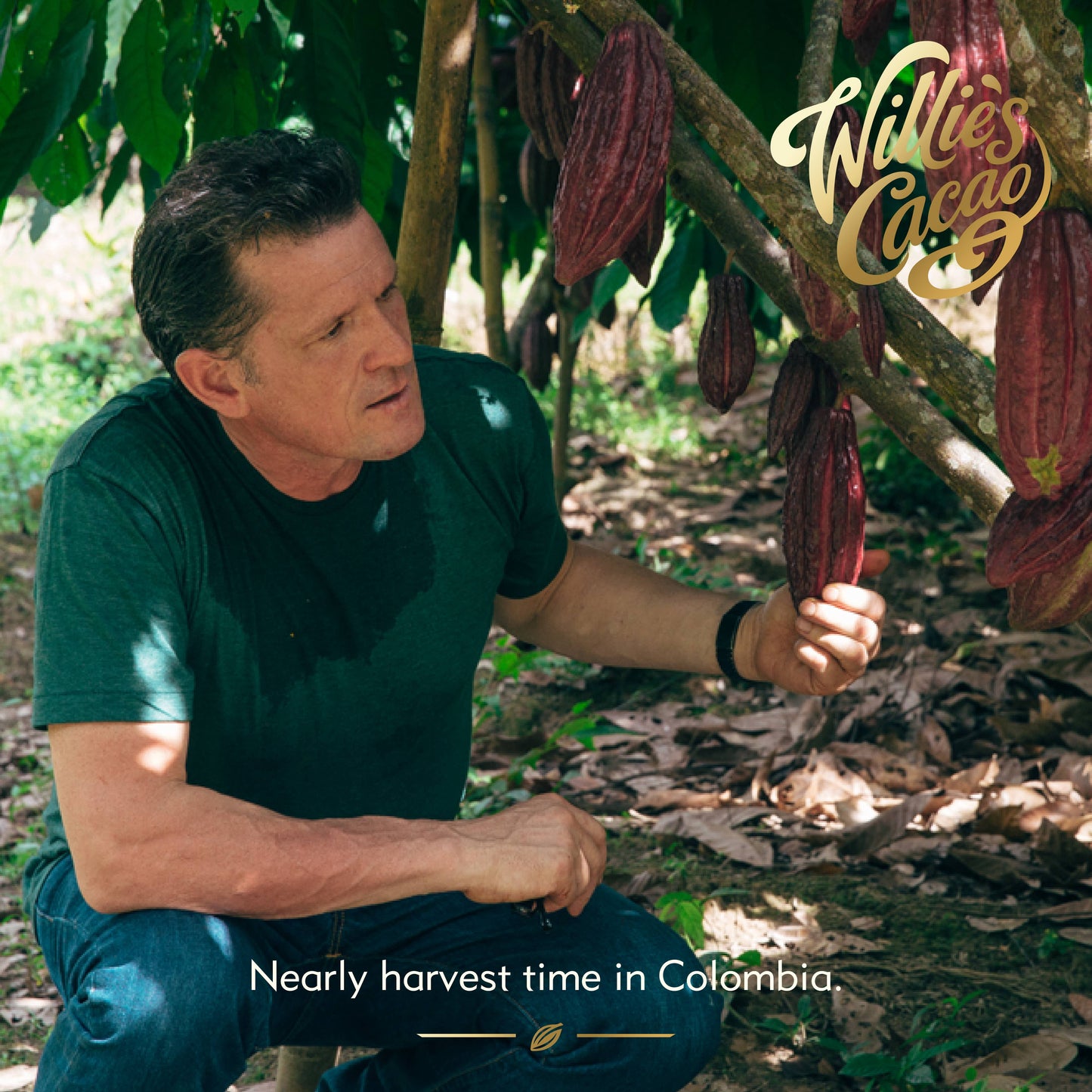 Luxury Hot Chocolate, 52% cocoa. SOFI Winner. Vegan