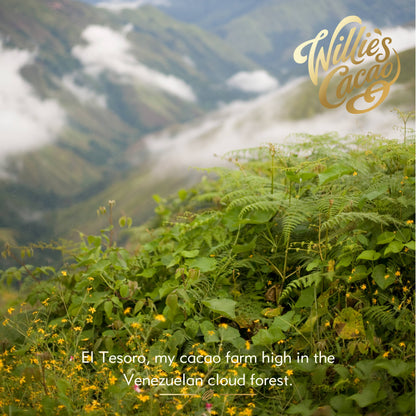 Luscious Orange. Dark Chocolate (70% Cacao) with Orange bar. Vegan.