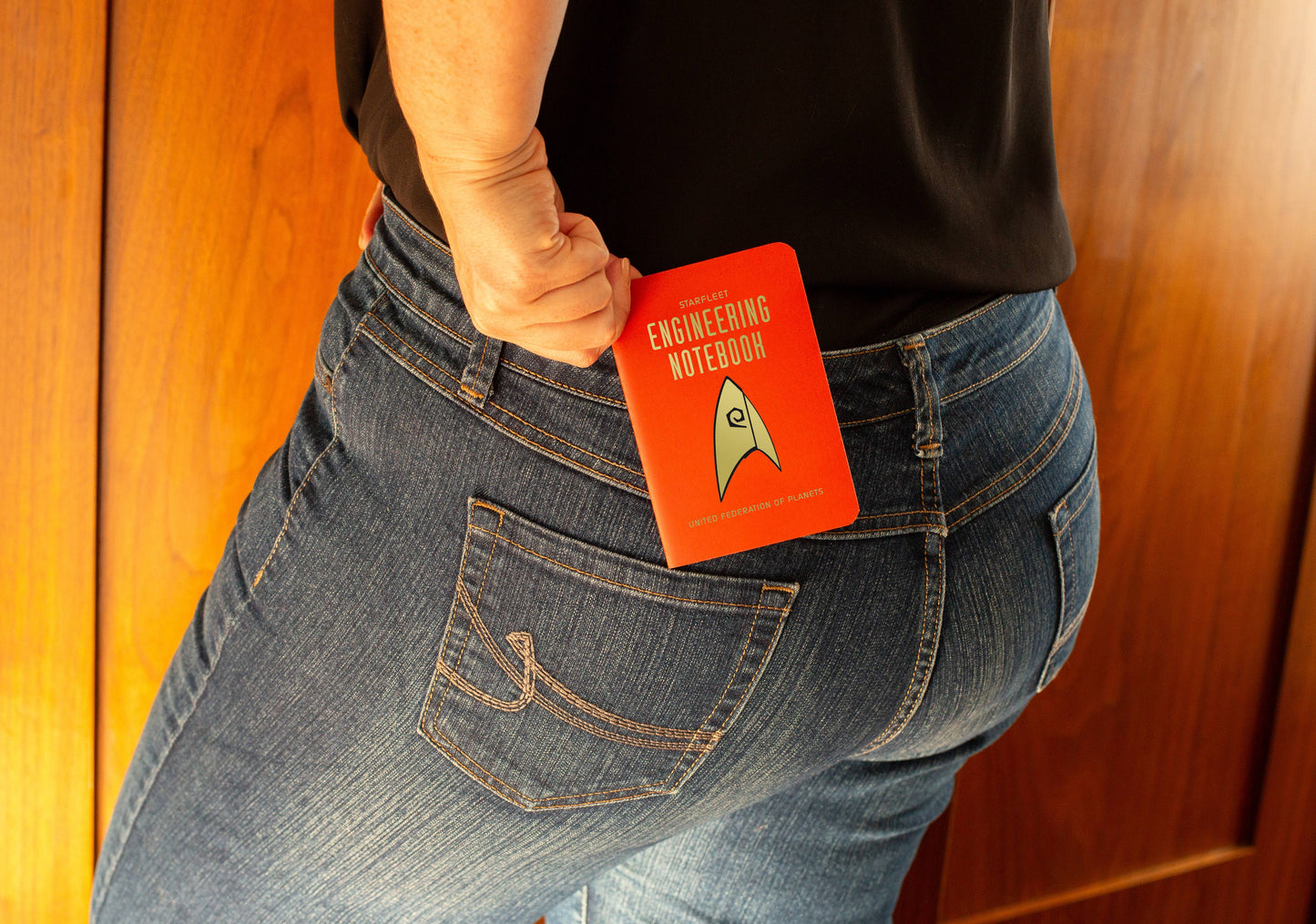 Star Trek Engineering Notebook