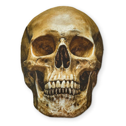 Human Skull Microfiber Glasses Cleaner Cloth