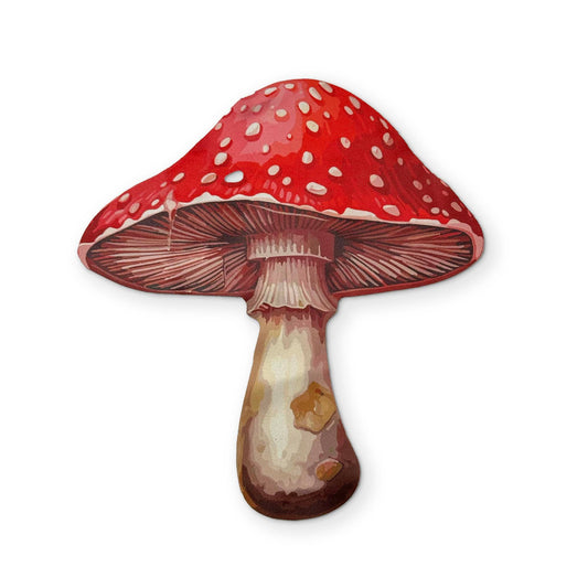 Mushroom Microfiber Glasses Cleaner Cloth
