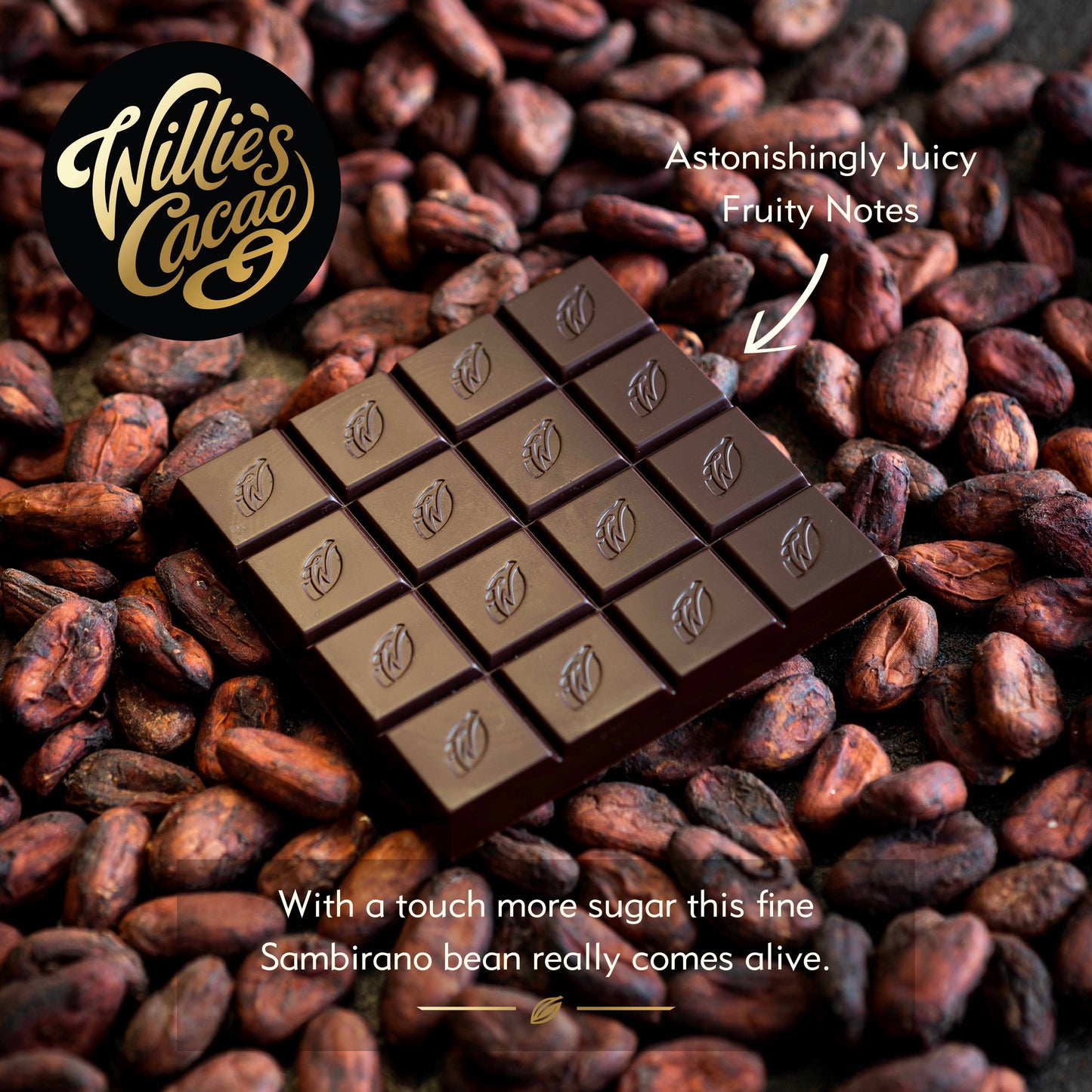 Sambirano 55% Dark Chocolate bar. Juicy Fruit Notes. Vegan