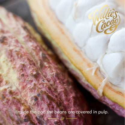 Chulucanas 70% Dark Chocolate bar. Raisin Plum Notes. Vegan