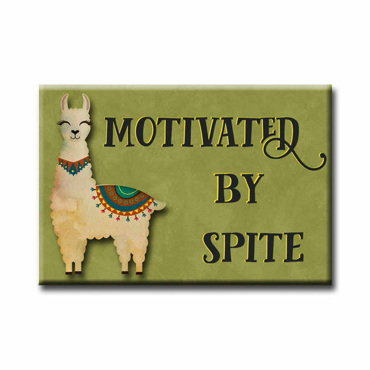 Motivated By Spite Magnet