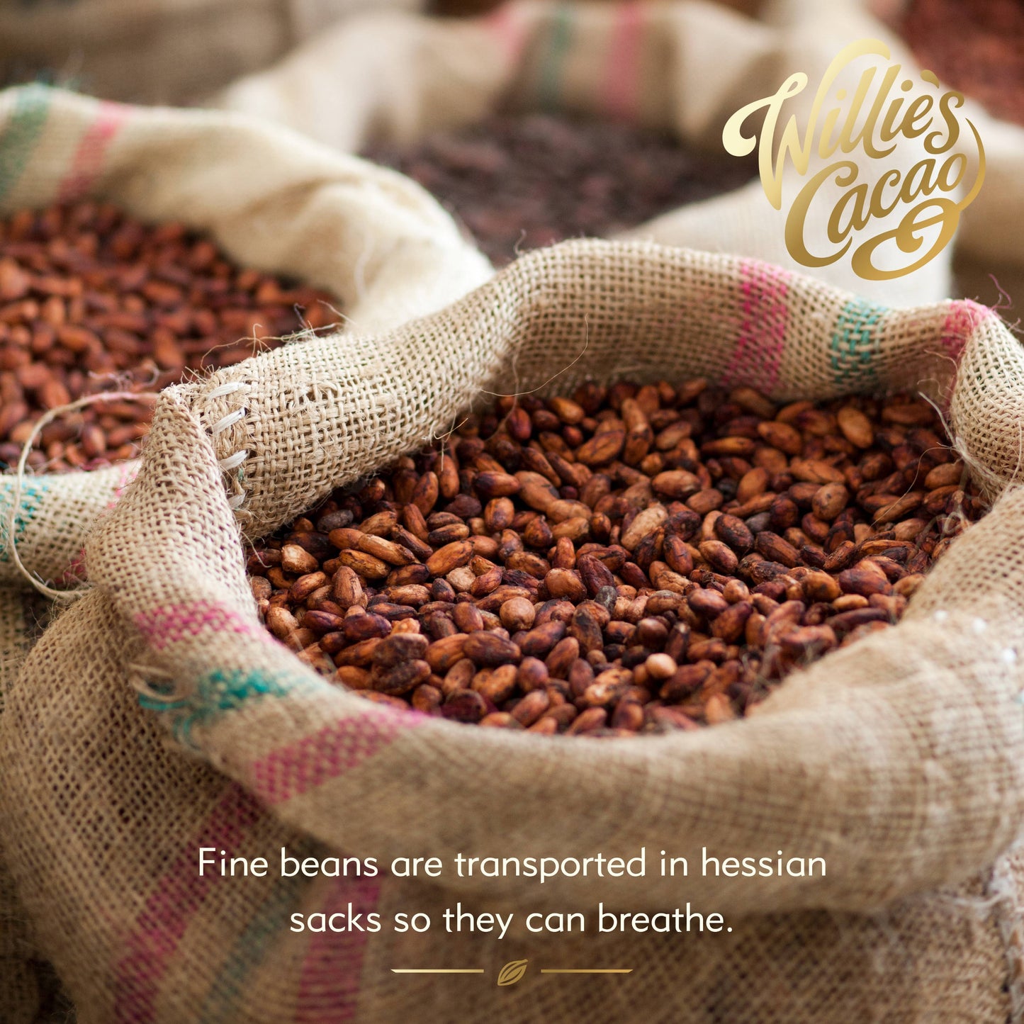100% Sambirano Cacao for Cooking. Summer Fruit Notes. Vegan.