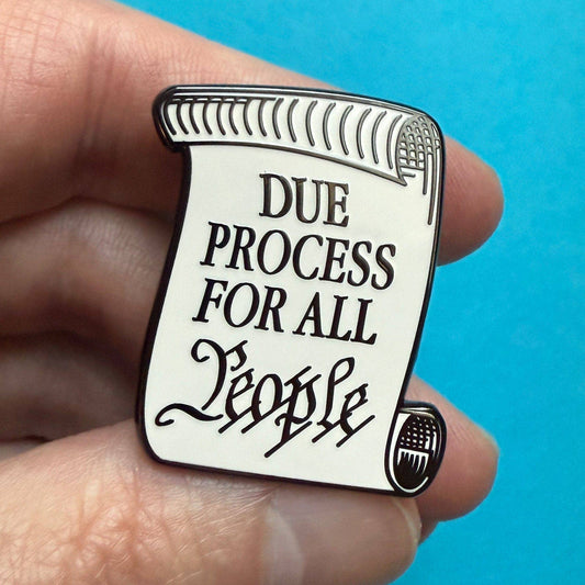 Due Process For All People Pin