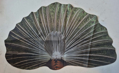 Peacock Microfiber Glasses Cleaner Cloth
