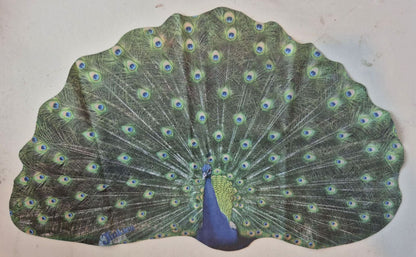 Peacock Microfiber Glasses Cleaner Cloth