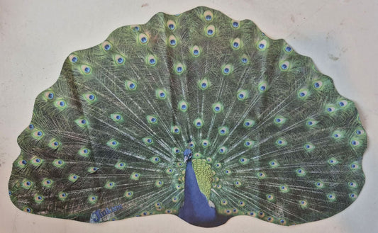 Peacock Microfiber Glasses Cleaner Cloth