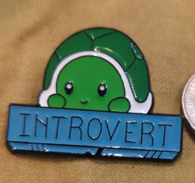 Introvert Turtle pin